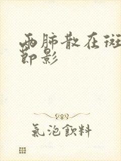 两肺散在斑点结节影