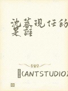 沈蓉现任的丈夫是谁