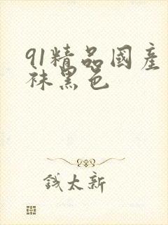 91精品国产丝袜黑色