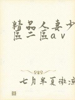 精品人妻少妇一区二区aⅴ