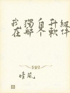 我独自升级漫画在哪个软件可以看