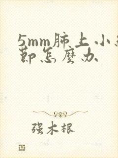 5mm肺上小结节怎么办