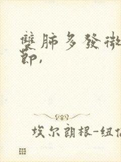 双肺多发微小结节,