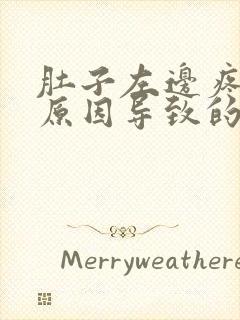 肚子左边疼什么原因导致的封面