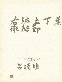 右肺上下叶实性微结节