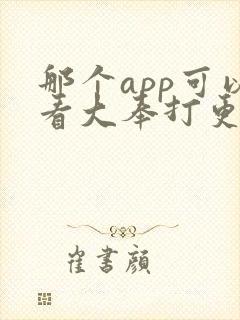 那个app可以看大奉打更人