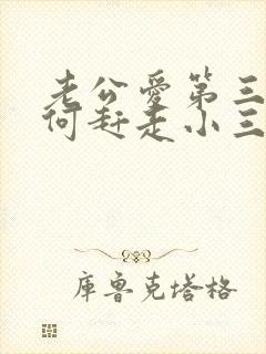 老公爱第三者如何赶走小三