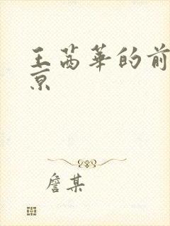 王茜华的前夫周京