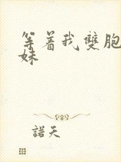 等着我双胞胎姐妹