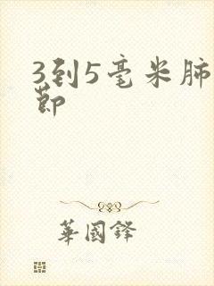 3到5毫米肺结节