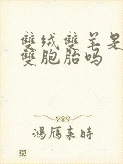 双绒双羊是异卵双胞胎吗