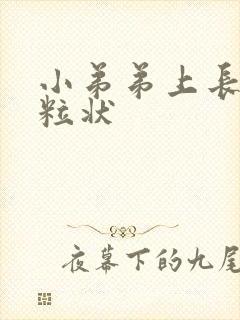 小弟弟上长小颗粒状封面