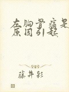 左胸骨痛是什么原因引起