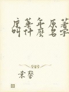 度华年原著小说叫什么名字