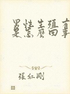 男性生殖有异味是怎么回事