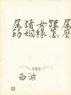 属猪女跟属龙男的姻缘怎么样