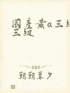 国产黄a三级看三级