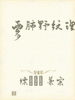 两肺野纹理稍增多