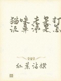 猫咪老是打喷嚏流鼻涕是怎么回事封面