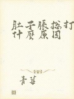 肚子胀总打嗝是什么原因