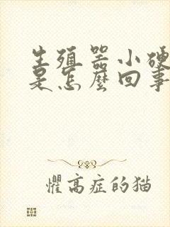 生殖器小硬疙瘩是怎么回事