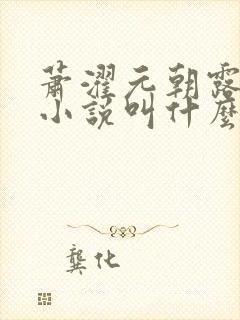 萧濯元朝露原著小说叫什么