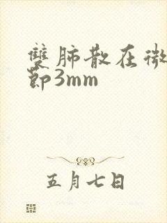 双肺散在微小结节3mm