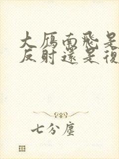 大雁南飞是简单反射还是复杂反射