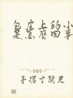 包皮上的小疙瘩是怎么回事