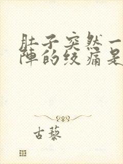 肚子突然一阵一阵的绞痛是怎么回事封面