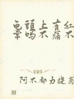 龟头上有红点正常吗不痛不痒封面