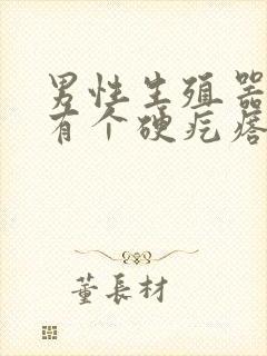 男性生殖器边缘有个硬疙瘩