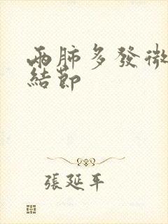 两肺多发微小实结节