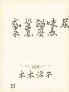 感觉猫咪尿不出来怎么办封面