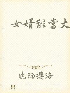 女婿难当大结局