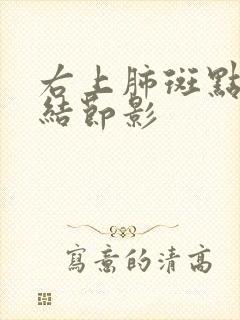 右上肺斑点状小结节影