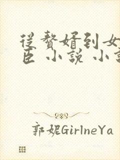 从赘婿到女帝宠臣 小说 小说