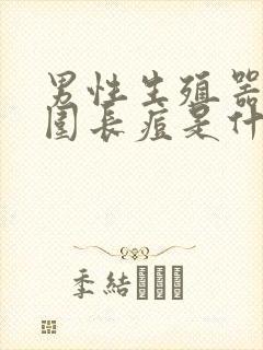 男性生殖器口周围长痘是什么原因