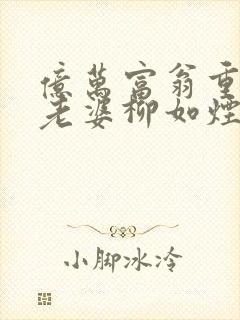 亿万富翁重生,老婆柳如烟的小说封面