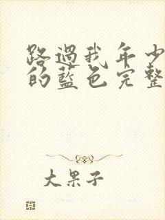 路过我年少时光的蓝色完整版封面