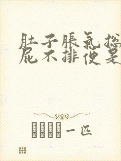 肚子胀气总是放屁不排便是怎么回事