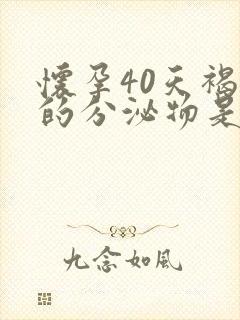 怀孕40天褐色的分泌物是怎么回事