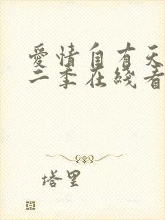 爱情自有天意第二季在线看