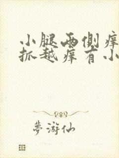 小腿两侧痒痒越抓越痒有小红疙瘩