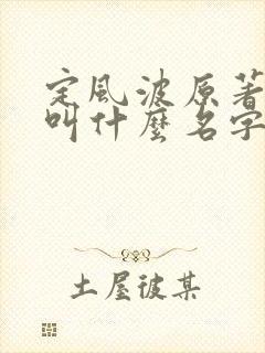 定风波原著小说叫什么名字
