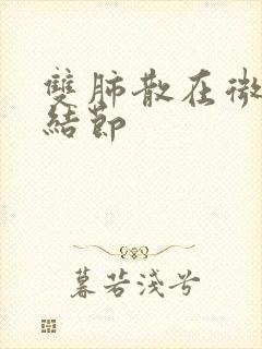 双肺散在微小小结节