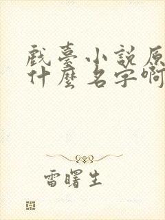 戏台小说原著叫什么名字啊