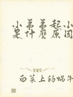 小弟弟起小痘痘是什么原因