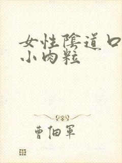 女性阴道口内侧小肉粒