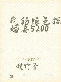 我的绝色总裁未婚妻5200封面